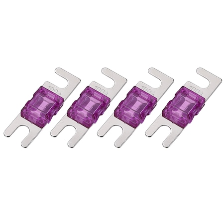 Bulldog Winch AFS Fuse 100A 20386